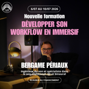 Développer son workflow en immersif avec Bergame Périaux
